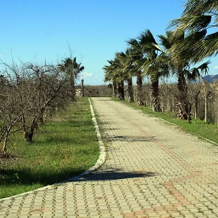 Prizma Villa Ortaca (Mugla)